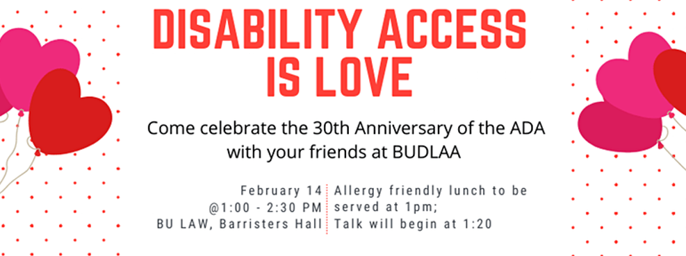 Disability Access is Love